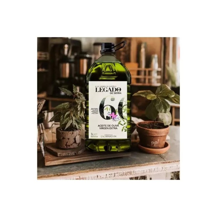 Picual Extra Virgin Olive Oil, Sierra de Cazorla D.O.P., 5000ml - Gourmet At Home | Buy Online UK