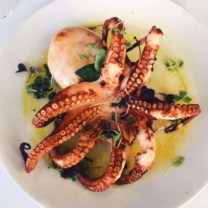 Whole Raw Octopus (3kg-4kg) Frozen
